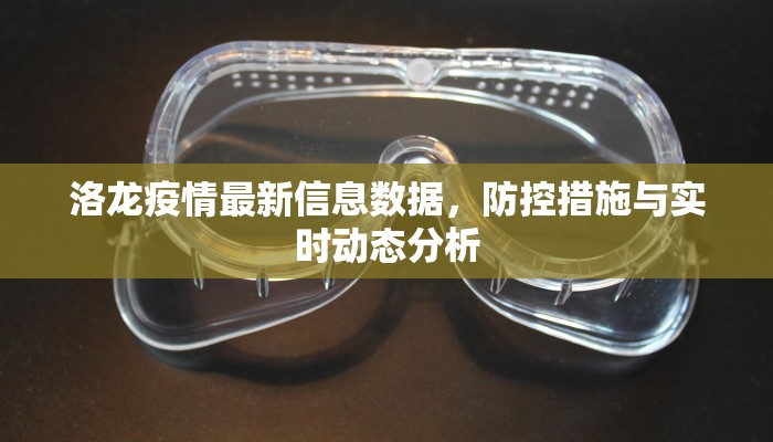洛龙疫情最新信息数据，防控措施与实时动态分析