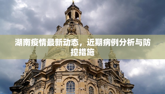 湖南疫情最新动态，近期病例分析与防控措施