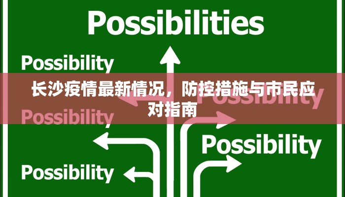 长沙疫情最新情况，防控措施与市民应对指南
