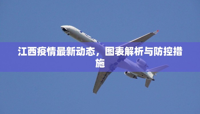 江西疫情最新动态，图表解析与防控措施