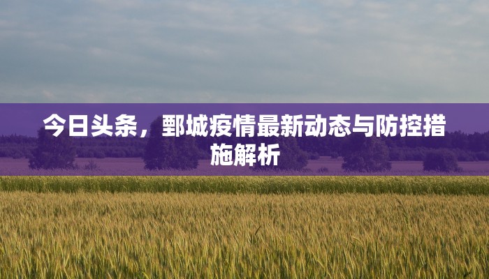 今日头条，鄄城疫情最新动态与防控措施解析