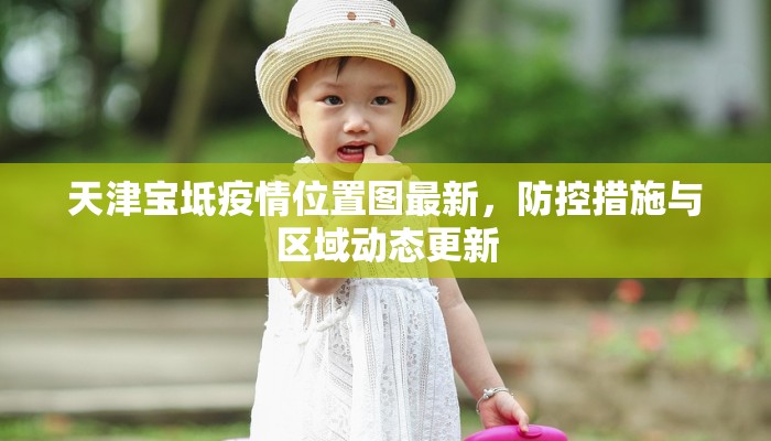 天津宝坻疫情位置图最新，防控措施与区域动态更新